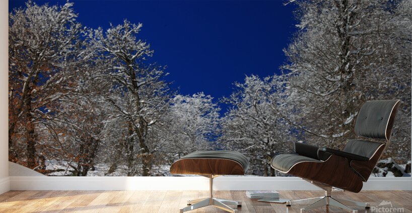  Silent White Wall Murals