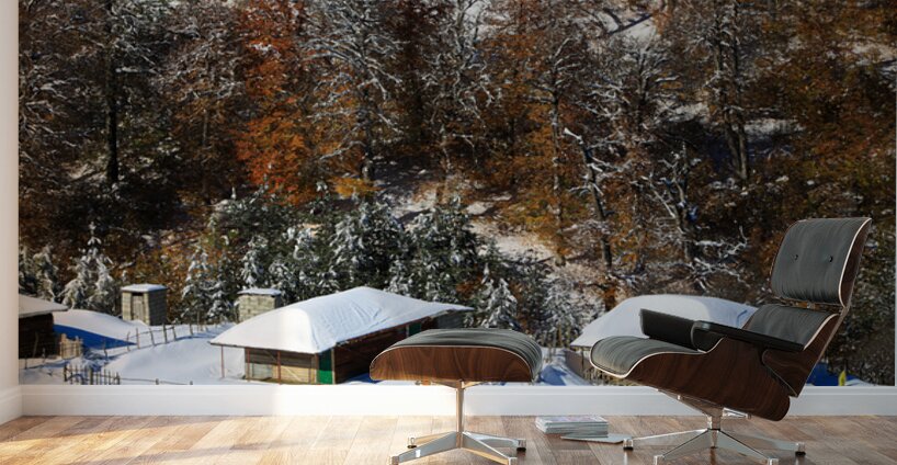 Autumn Behind the Snow Wall Murals