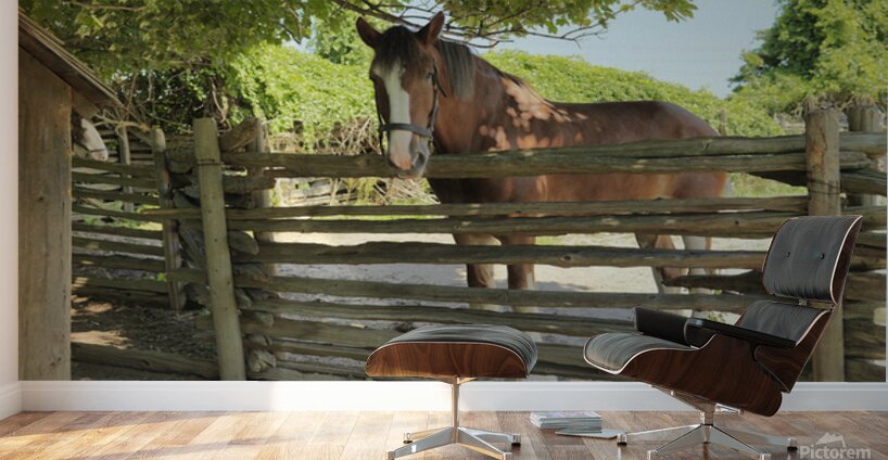 Brown Grace Wall Murals