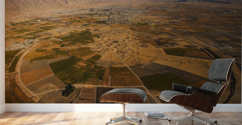 Circle of Life Wall Murals