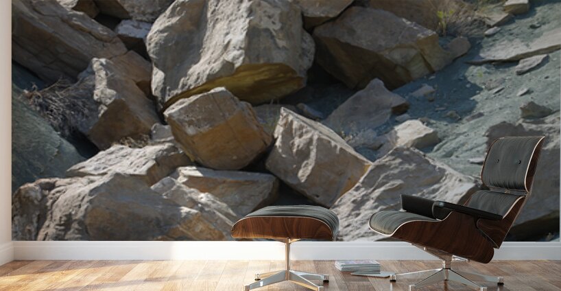 Earth’s Puzzle Wall Murals