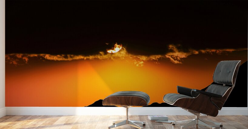 Fiery Dawn Wall Murals