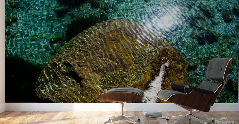 Living Stone Wall Murals