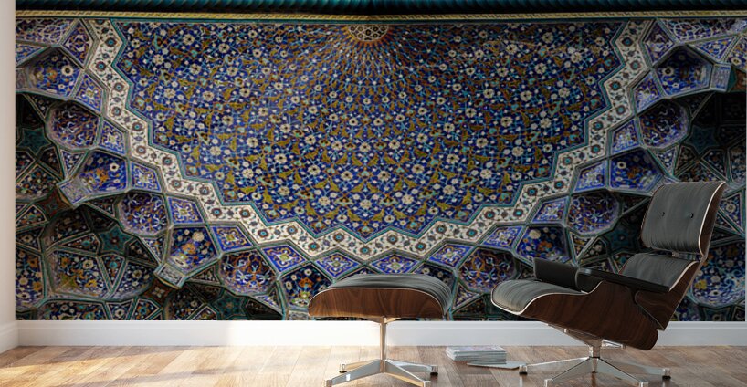 Dome of Stars Wall Murals