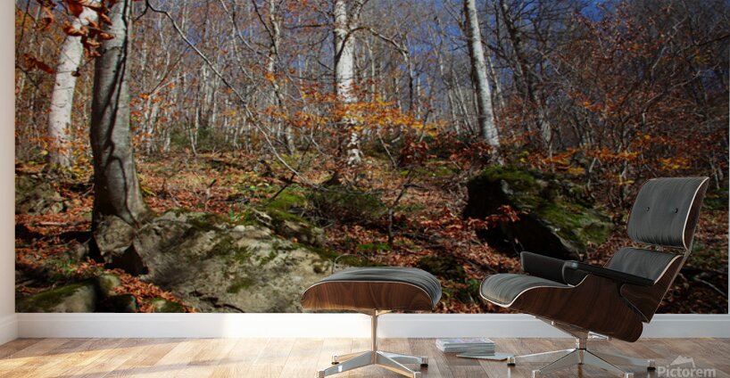 Echoes of Leaves Wall Murals