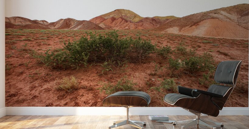 Roots of Fire Wall Murals