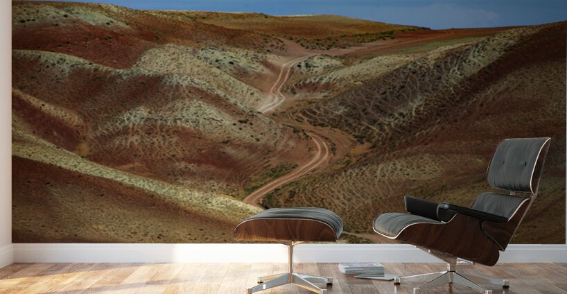 Trail of Silence Wall Murals