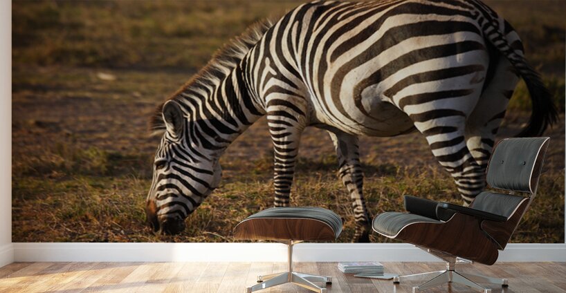 Stripes of Life Wall Murals