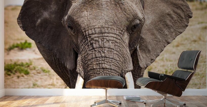 Timeless Strength Wall Murals