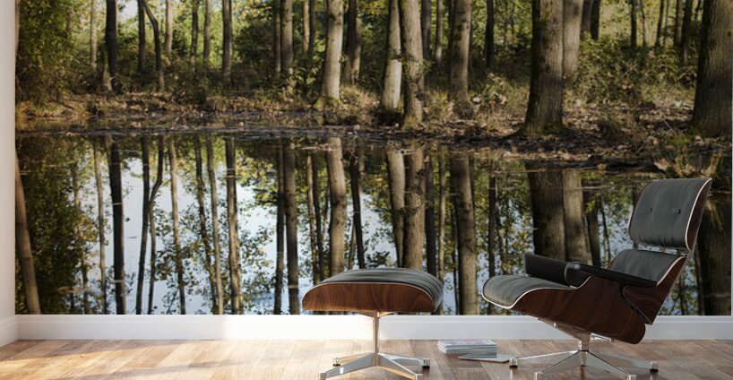 Mirror of the Woods Wall Murals