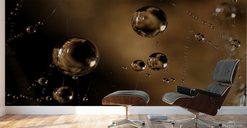 Web of Stars Wall Murals