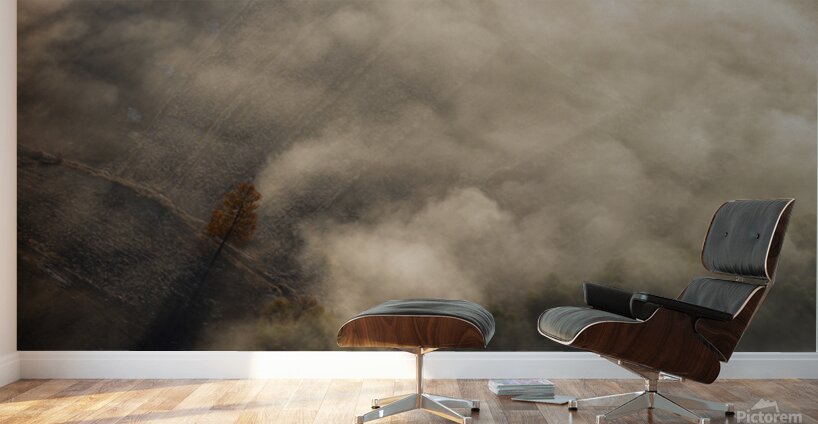 The Lonely Tree Wall Murals