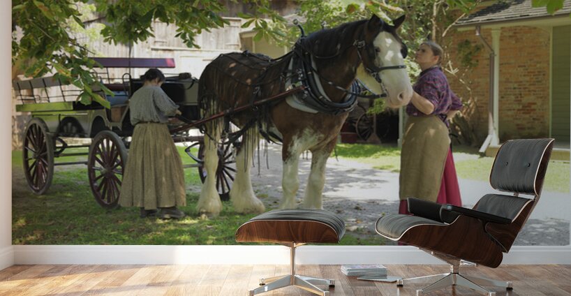 Timeless Companions Wall Murals