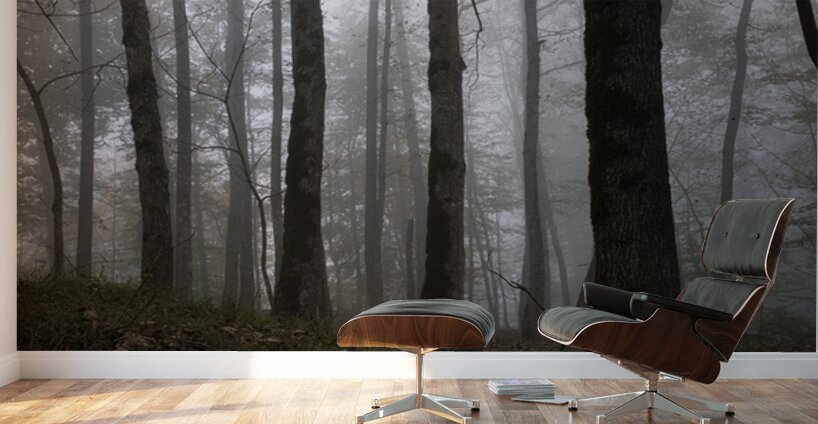 Whispers of the Fog Wall Murals