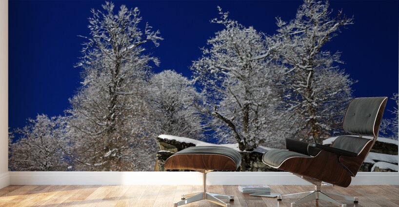 Winter Fortress Wall Murals