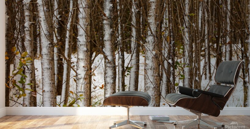 Song of Verticals Wall Murals