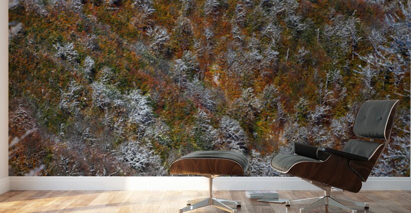 Poetry of Seasons Wall Murals