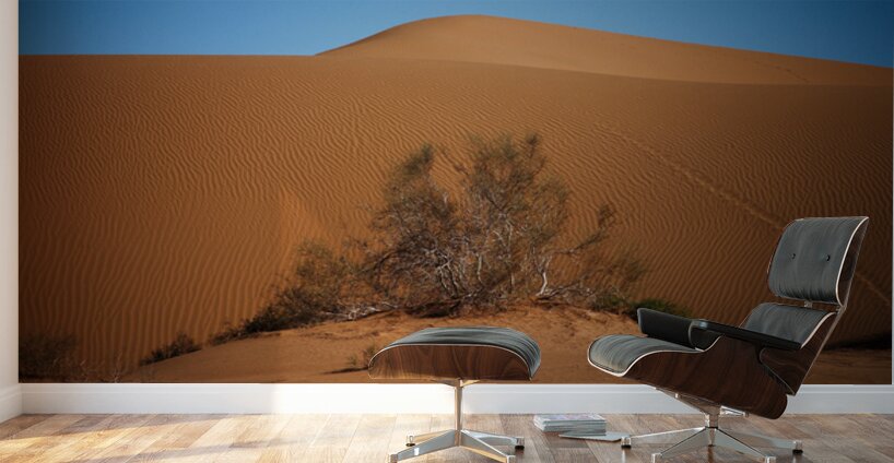 namvar 1144 Wall Murals