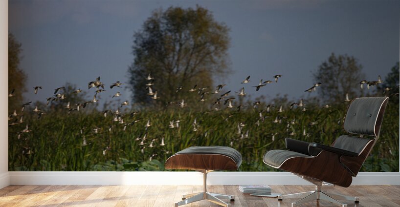 Whispers of the Marsh Wall Murals