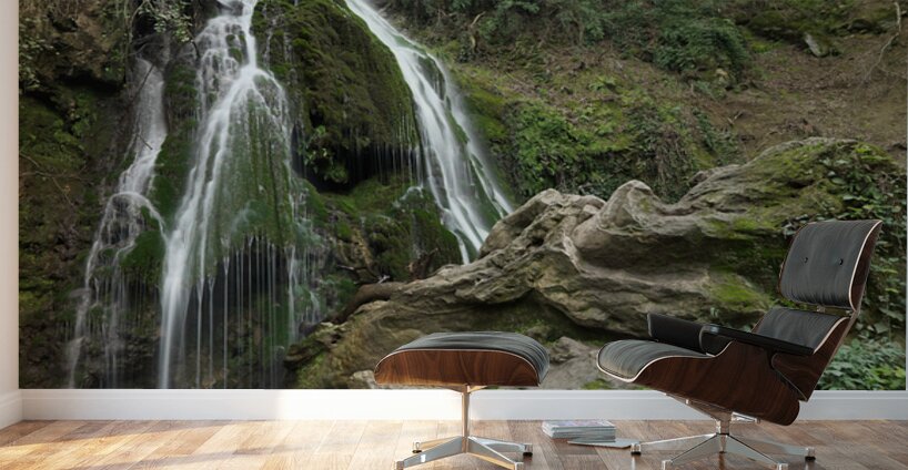 Whispers of the Waterfall Wall Murals