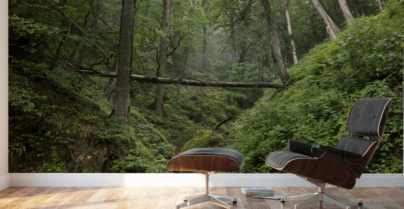 Mystic Forest Wall Murals