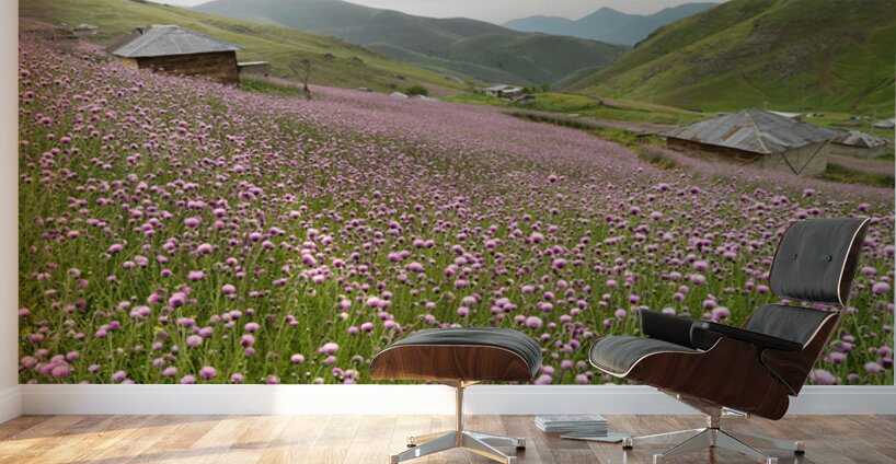 Valley of Blossoms Wall Murals