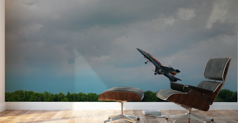 FA-18 1179 Wall Murals