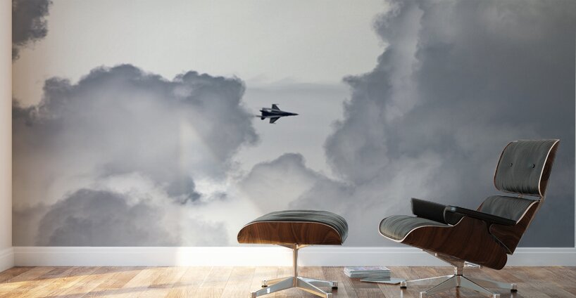 FA-18 1180 Wall Murals