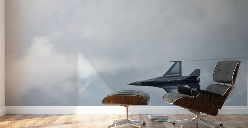 FA-18 1181 Wall Murals