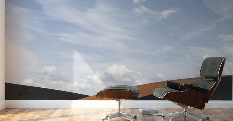 DESERT IRAN Wall Murals