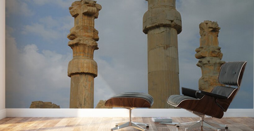 History                                Wall Murals