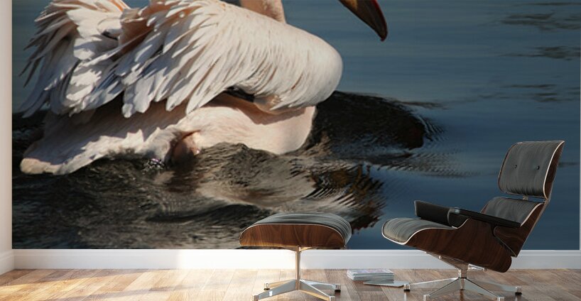 pelikan04 moreDetail x4 9544x14340 2pass photo.pn Wall Murals