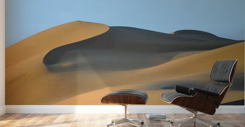 Central Desert Iran 02 Wall Murals