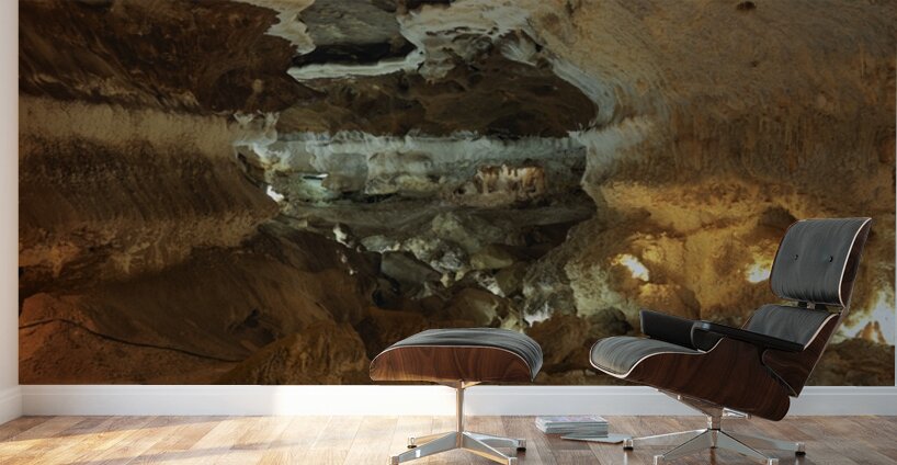 Golden Depths – Underground World Wall Murals