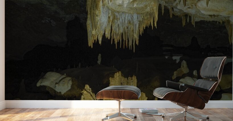 Frozen Symphony – Cave Wonders Wall Murals