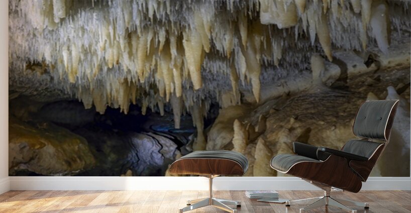 Whispers of the Earth Wall Murals