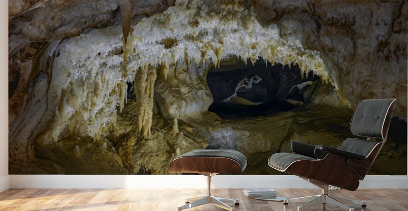 Gateway to Silence Wall Murals