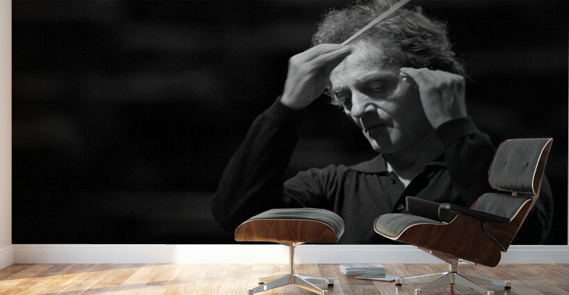 Rhythm of the Mind Wall Murals