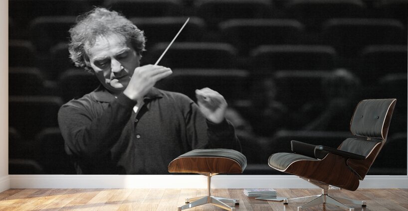 The Silent Symphony Wall Murals