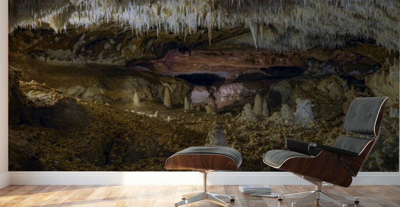 Heart of the Earth Wall Murals