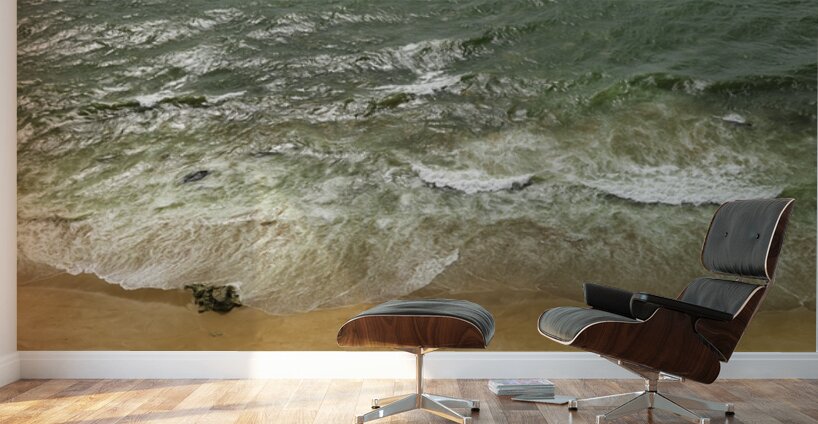 Edge of Serenity Wall Murals