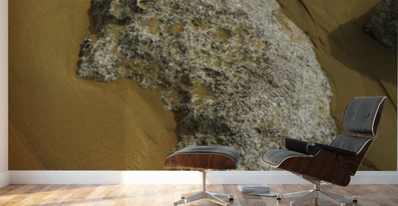 Shape of Time Wall Murals