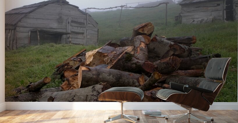 Whispers of the Highlands Wall Murals