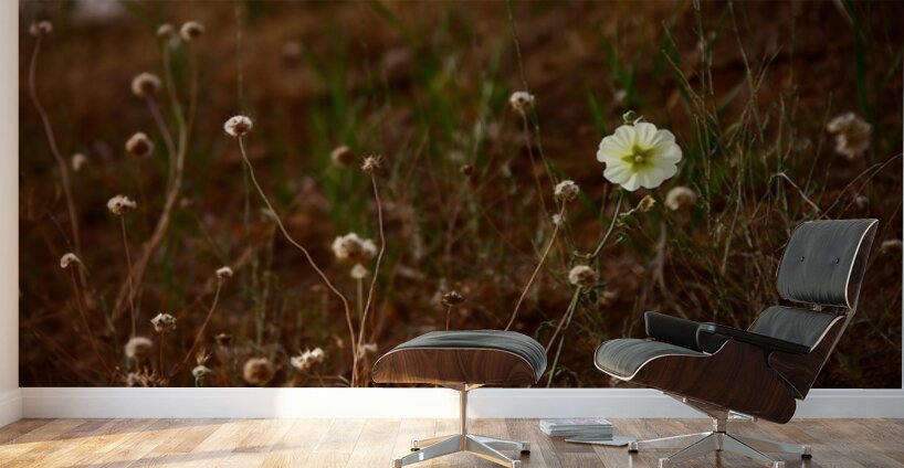 Bloom in Solitude Wall Murals