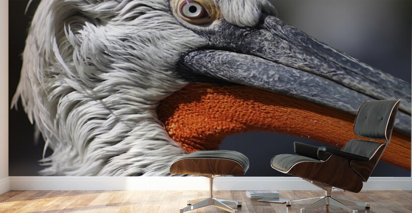 The Watchful One Wall Murals