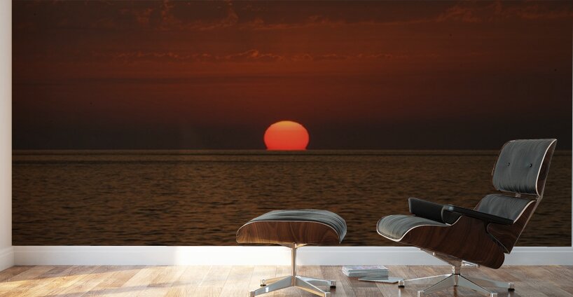 The Last Light Wall Murals