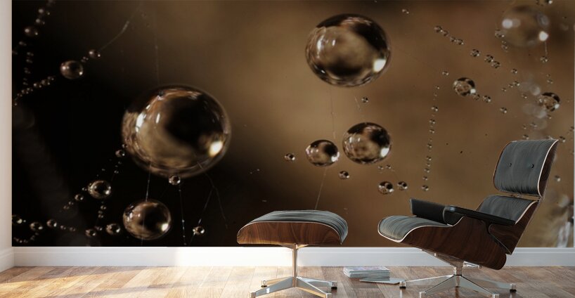 Gravity’s Whisper Wall Murals