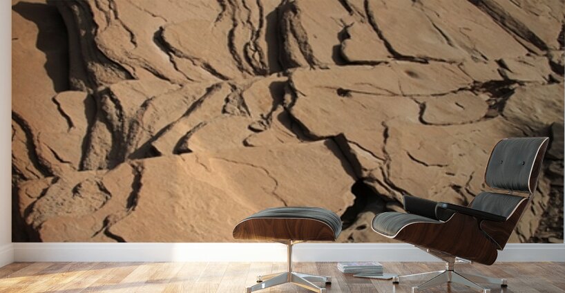 Roots of the Sky Wall Murals