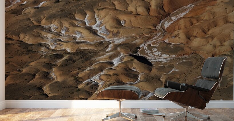 Veins of the Earth Wall Murals