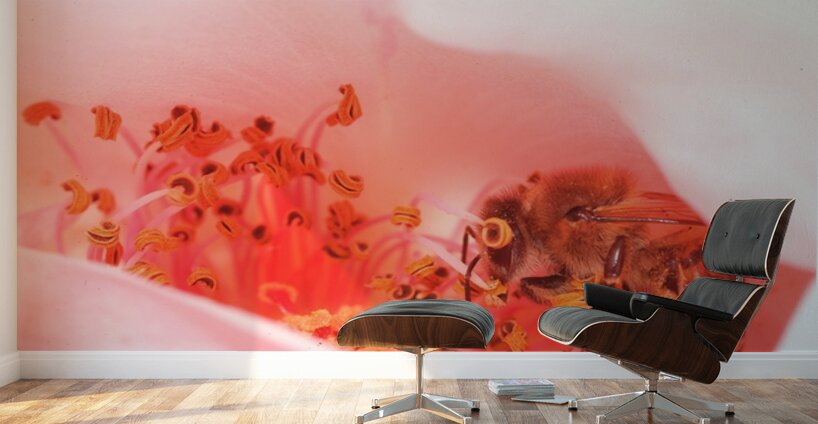 Heart of the Blossom  Wall Murals
